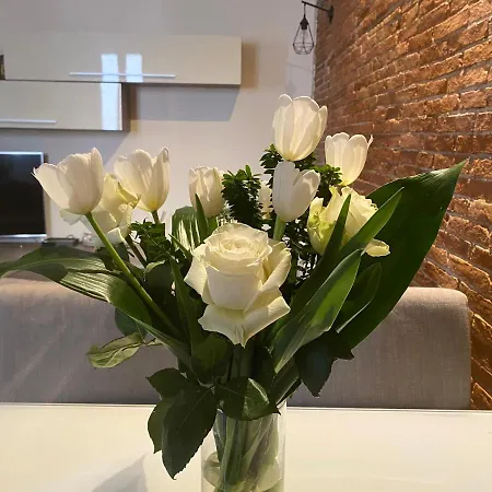 Angelina Boutique Apartamento *